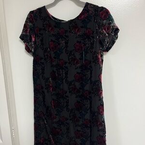 Carolina Belle Black floral velvet mini dress